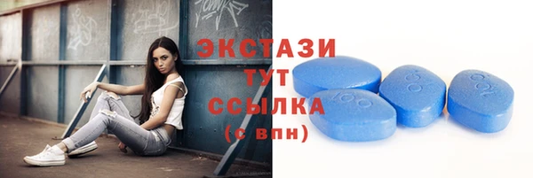 мет Алексин