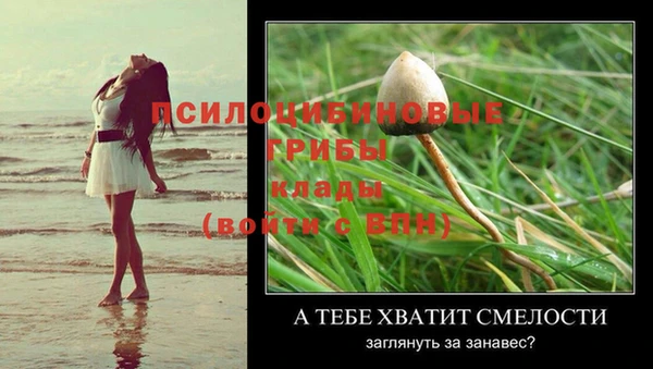 бошки Балахна