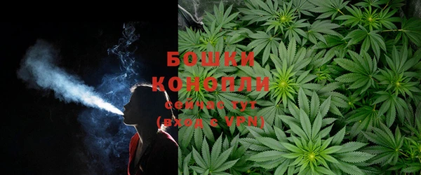 ECSTASY Армянск