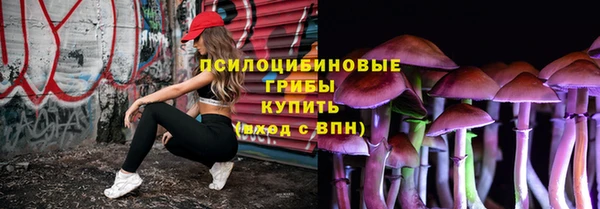 стафф Аркадак