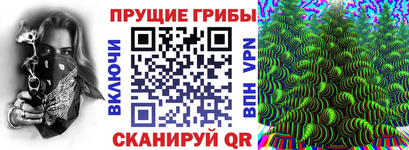 цена наркотик  Кирово-Чепецк  Галлюциногенные грибы GOLDEN TEACHER 